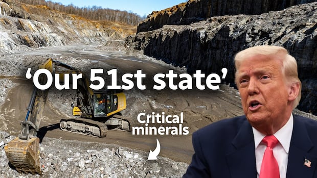 The Trump administration is investing in Canadian critical mineral companies. But Ottawa can stop it