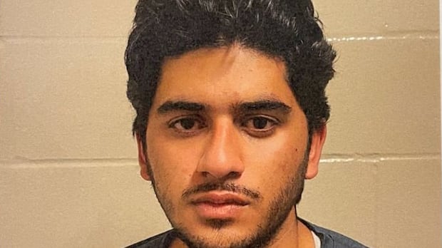 Trial for man accused of plotting NYC Jewish centre 'slaughter' while in Ontario set for May 2026