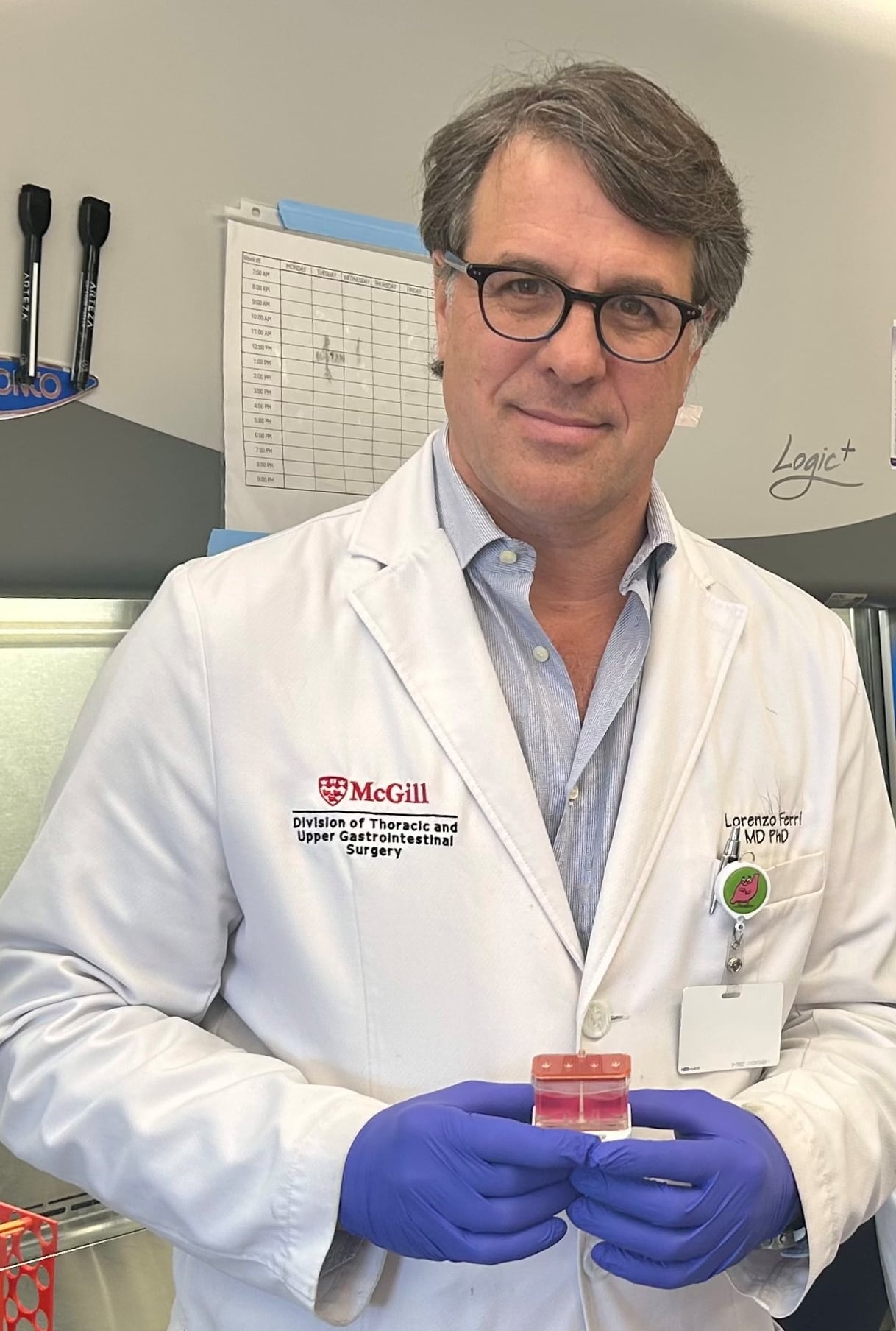 Why 'organ chips' could transform cancer treatment and drug testing