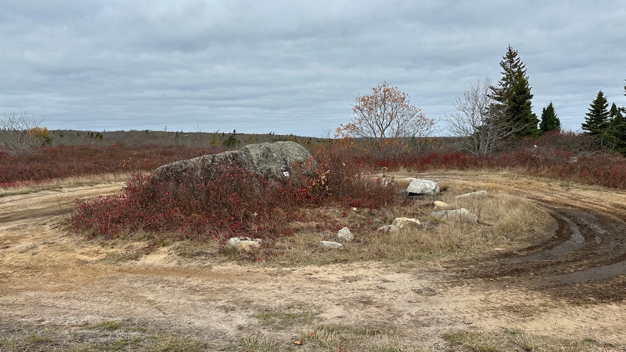 Fire that grew to become part of Nova Scotiaâs largest wildfire started on this manâs property