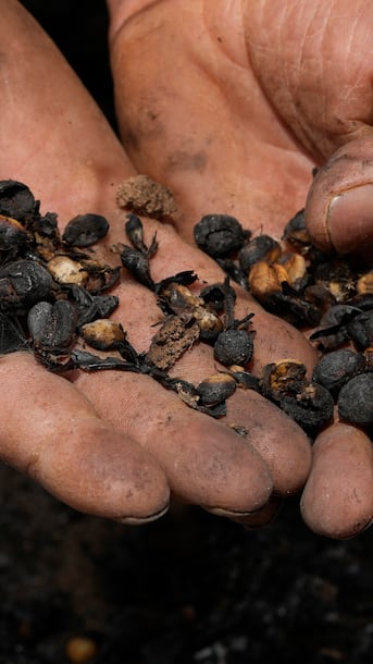 Food prices in Canada keep climbing, but these grocery items will give you sticker shock