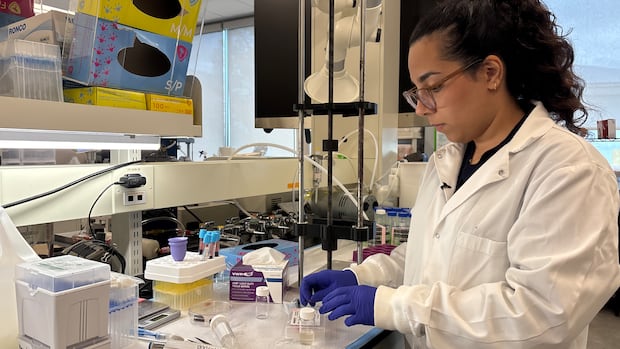 McMaster research targets menstrual cup âmessâ with absorbent tablets to tackle period stigma