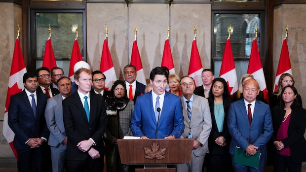 Ottawa seeking mass visa cancellation powers to deter fraud from India: internal documents