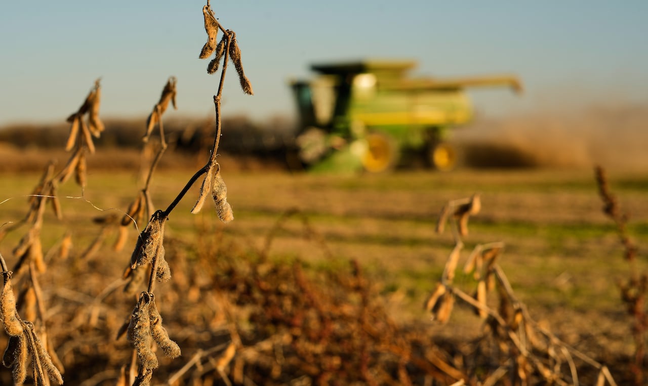 U.S. producers warn Trumpâs tariffs jeopardize their access to Canada, Mexico