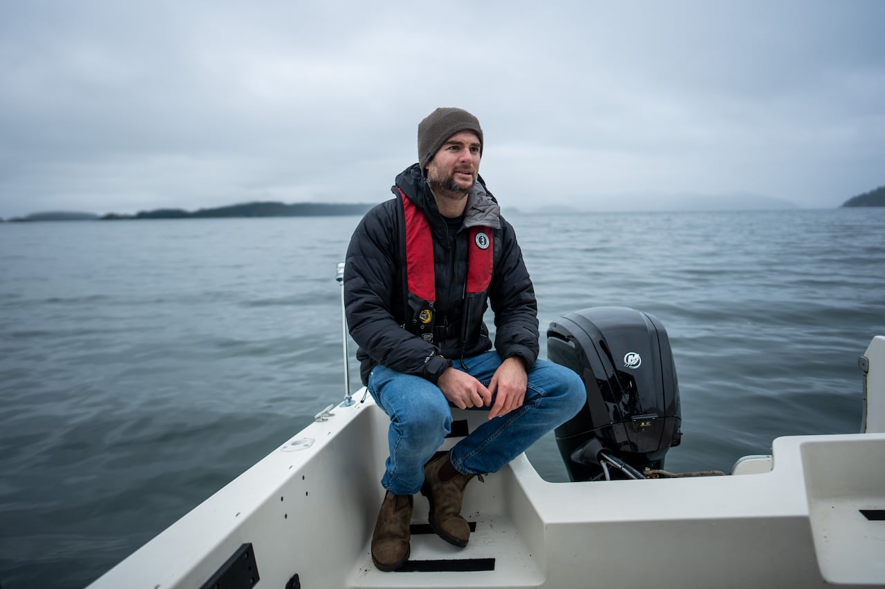 Big, barking, bellowing sea lions back in B.C.'s Howe Sound