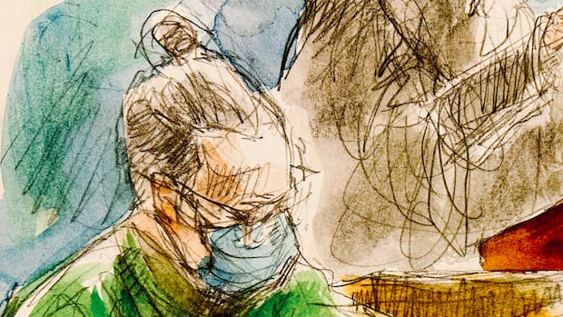 What Becky Hamber told Ontario murder trial in her 3rd day in the witness box