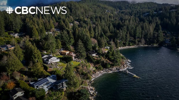 Electric ferries are breaking records â and quietly joining Canada's fleet