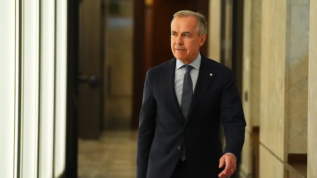 Liberal majority government will run 'much more efficiently,' says caucus leader
