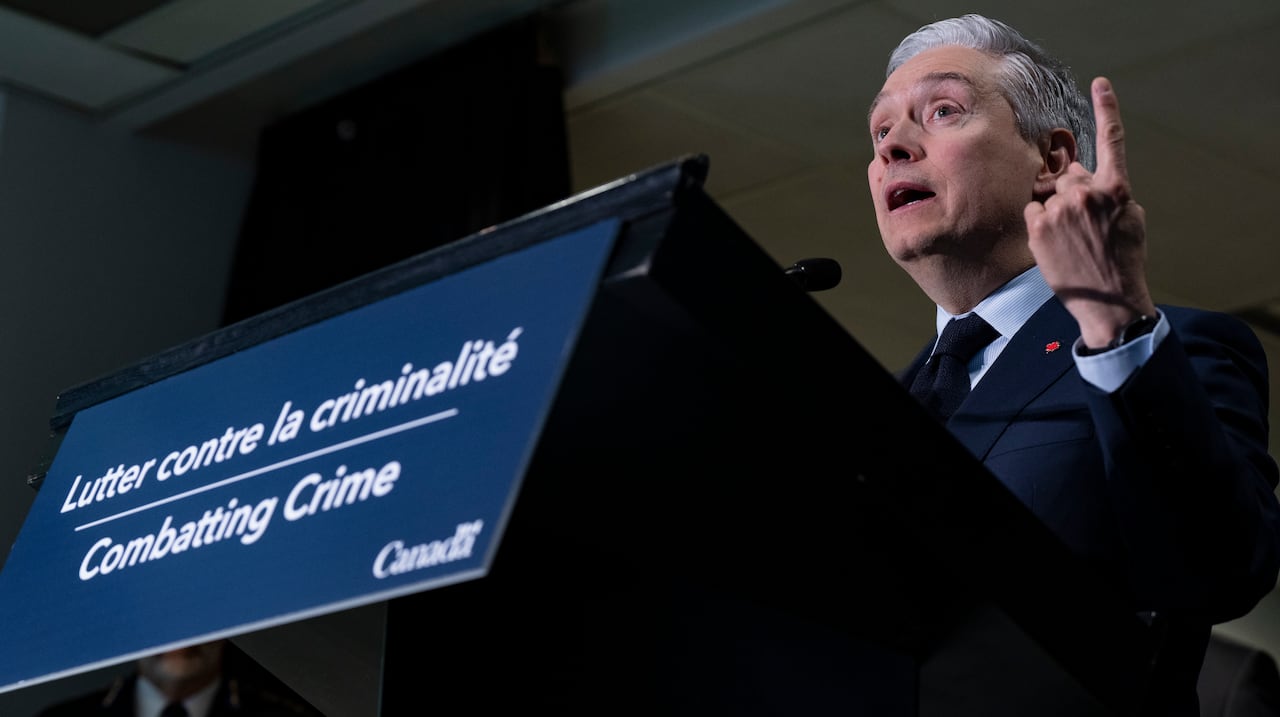 Liberals are pitching a brand new police agency for financial crimes. How would that work?