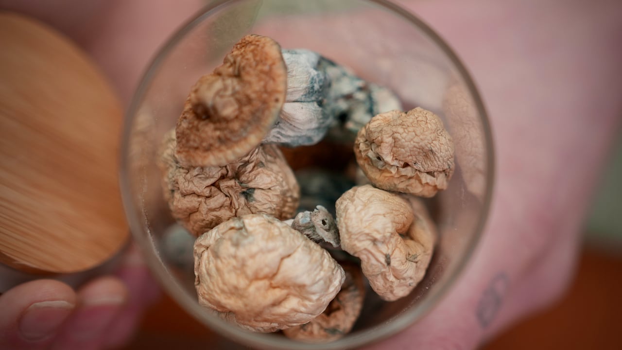 Psychedelics helped him deal with terminal illness anxiety, but getting them was a long, strange trip