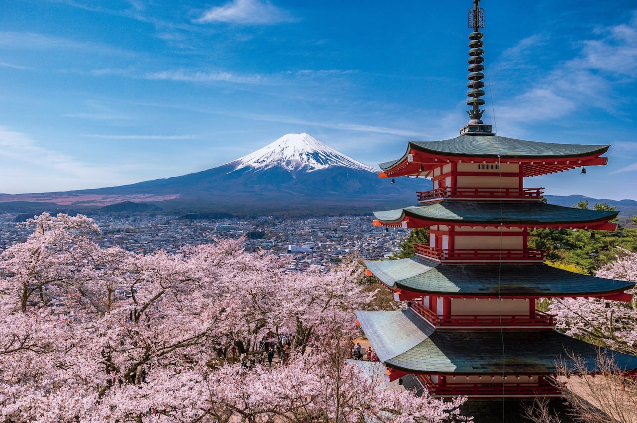 This Japanese town cancelled its cherry blossom festival to stop overtourism. It didnât work