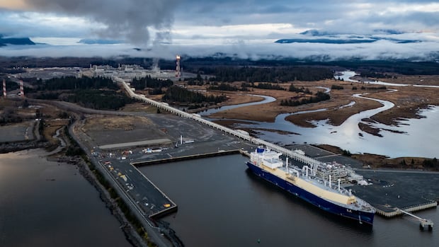 Canada reaches 'milestone' deal to sell LNG from Ksi Lisims project to Germany