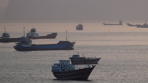 Trump's plan to guide ships safely through the Strait of Hormuz may be 'extraordinarily' difficult