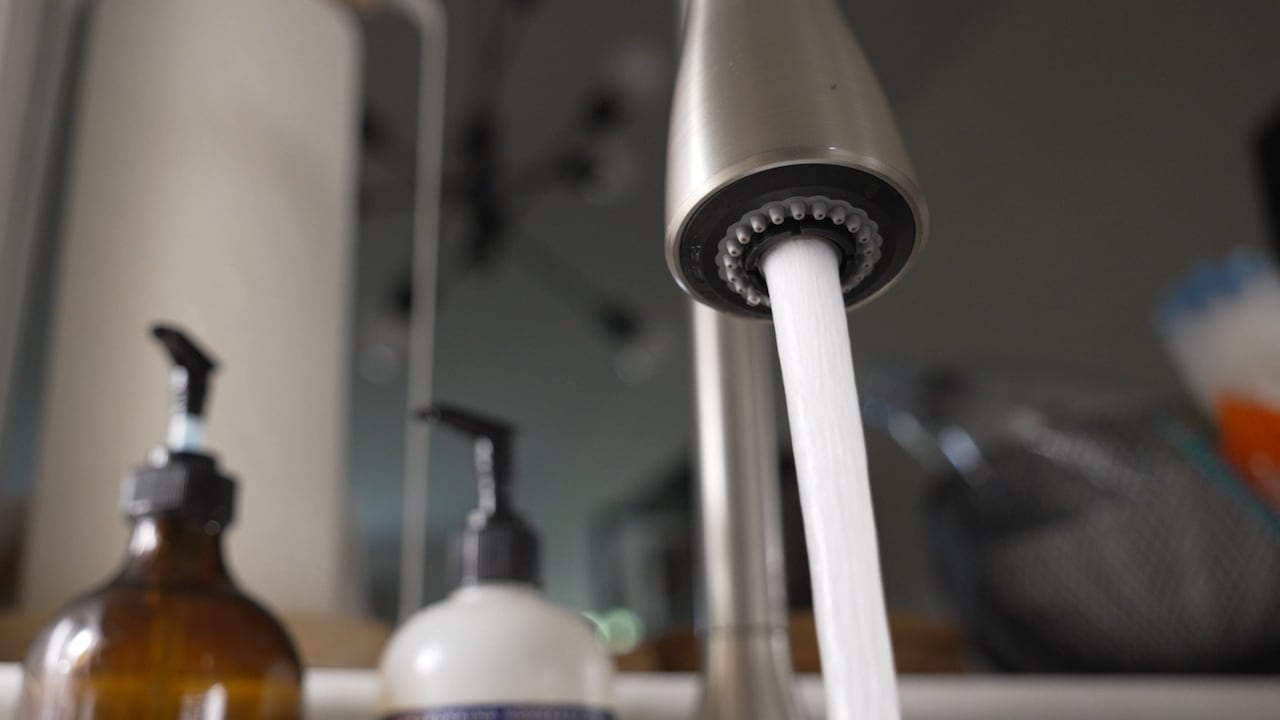 Vancouver is running out of water â and the solutions are wild