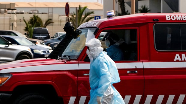 WHO confirms Andes strain of hantavirus in cruise ship passengers, with 3 transferred from ship for treatment