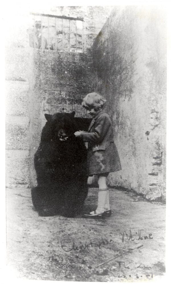 Winnie the Pooh has been beloved for 100 years. But fame wasn't so enchanting for the real Christopher Robin