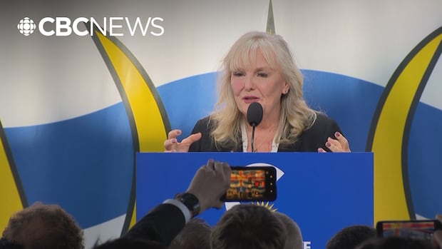 B.C. Conservative caucus shows united front with new leader Kerry-Lynne Findlay
