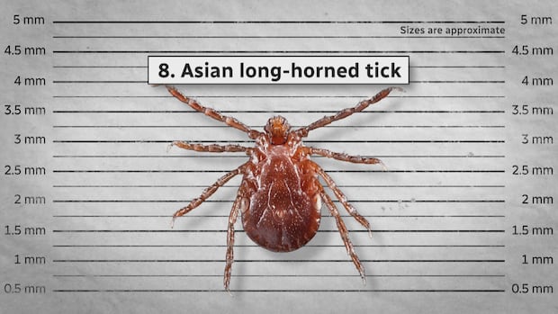 Like it or not, the ticks are advancing and Canadians will have to adapt