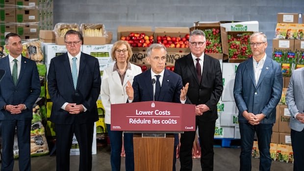Ottawa has struggled to increase grocery competition. Will the new food strategy help?