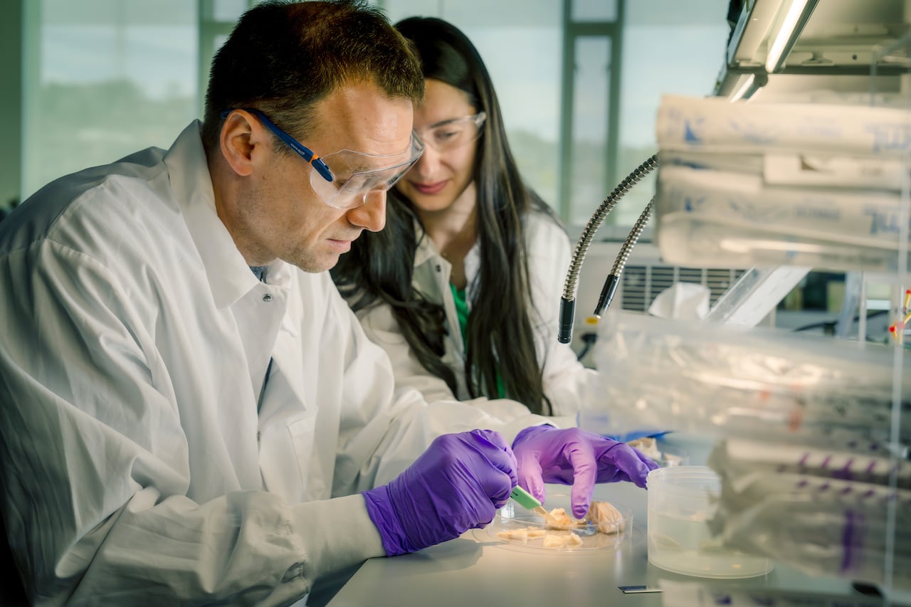 Scientist with Huntington's gene dedicates life to curing fatal disease he'll one day develop