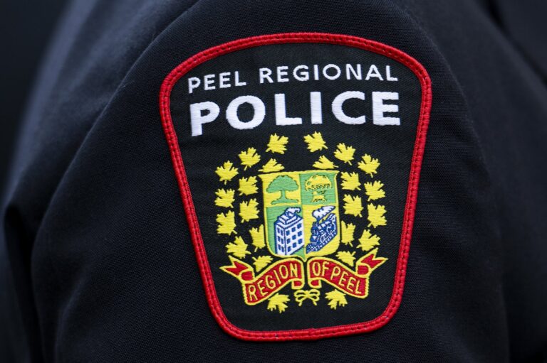 Suspect arrested, close to $1 million in stolen goods recovered: Peel police