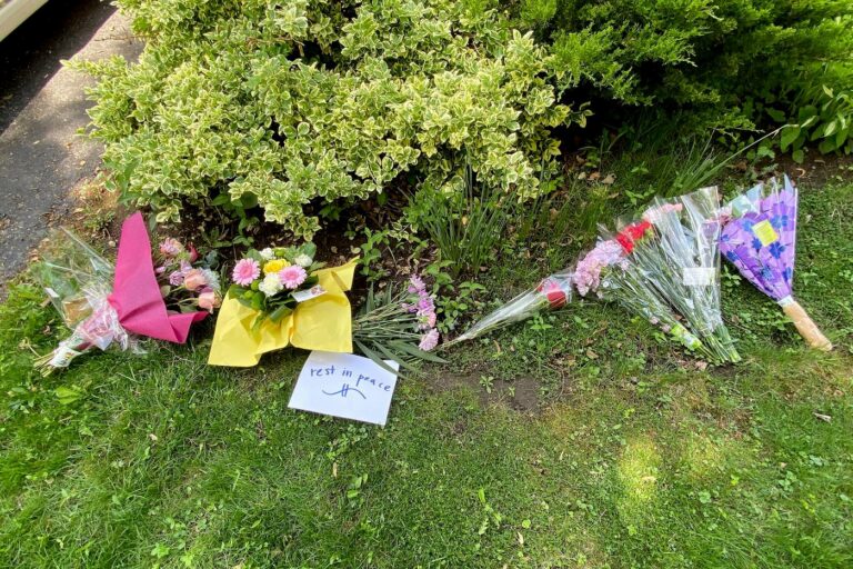 Boy who killed elderly woman in Pickering, Ont., apologizes during sentencing hearing