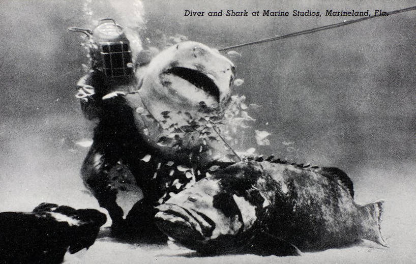 Marineland for U.S.