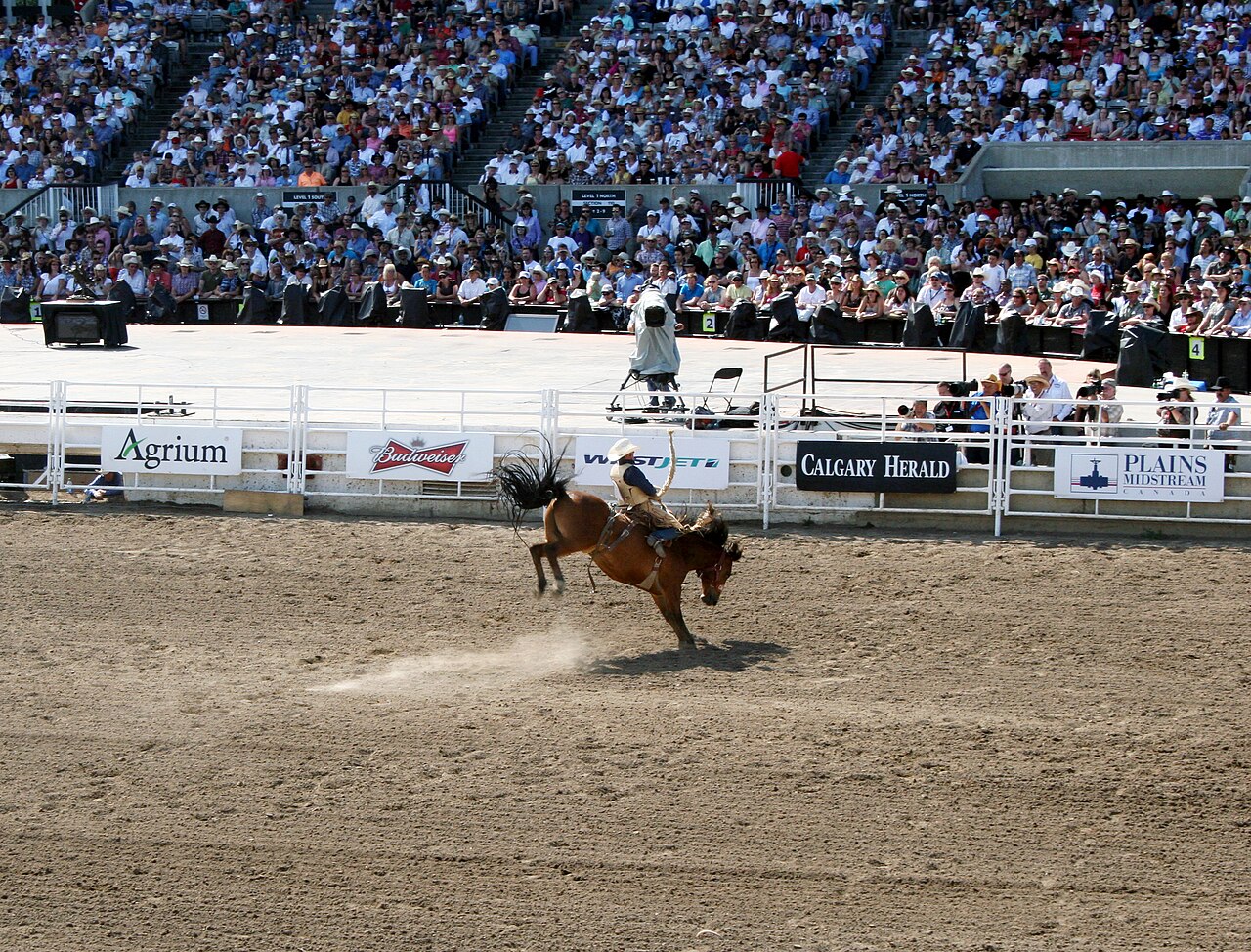 Calgary Stampeders