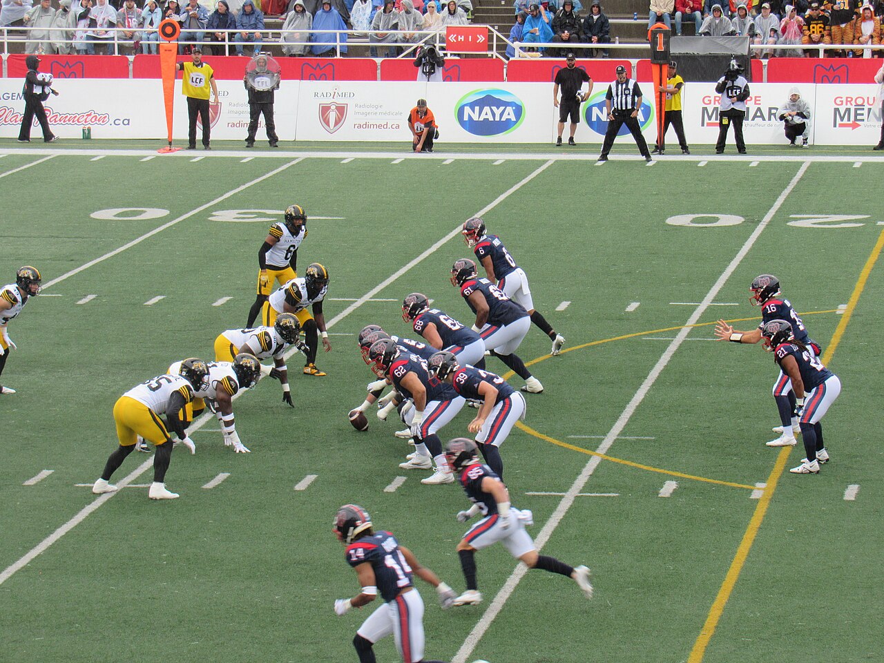 Ticats