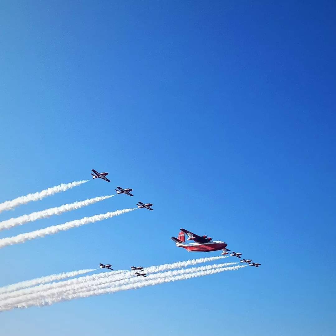 Last Snowbirds